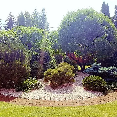 Vila Alfredo Delux Nyiregyhaza-sostofuerdo