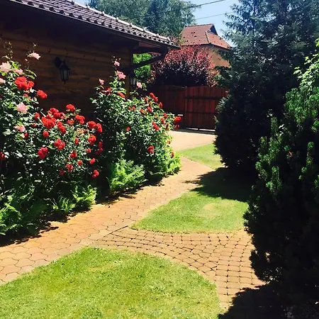 Vila Alfredo Delux Nyiregyhaza-sostofuerdo *